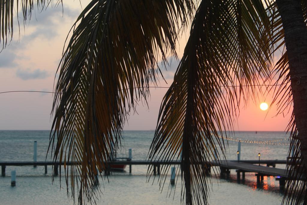 Hotel Aruba Surfside Marina Oranjestad Exterior foto